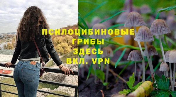 apvp Белокуриха