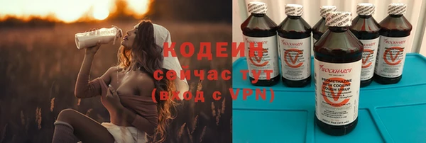 мяу мяу мука Дмитриев