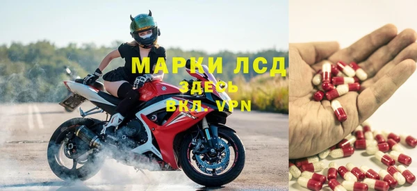 apvp Белокуриха
