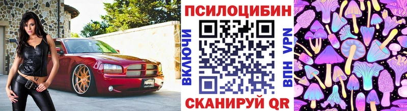 наркотики  Кушва  Галлюциногенные грибы Psilocybe 
